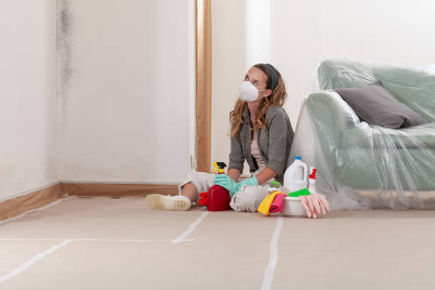 Reliable Mold Remediation contractor in Moonachie, NJ by WQB Mold Removal